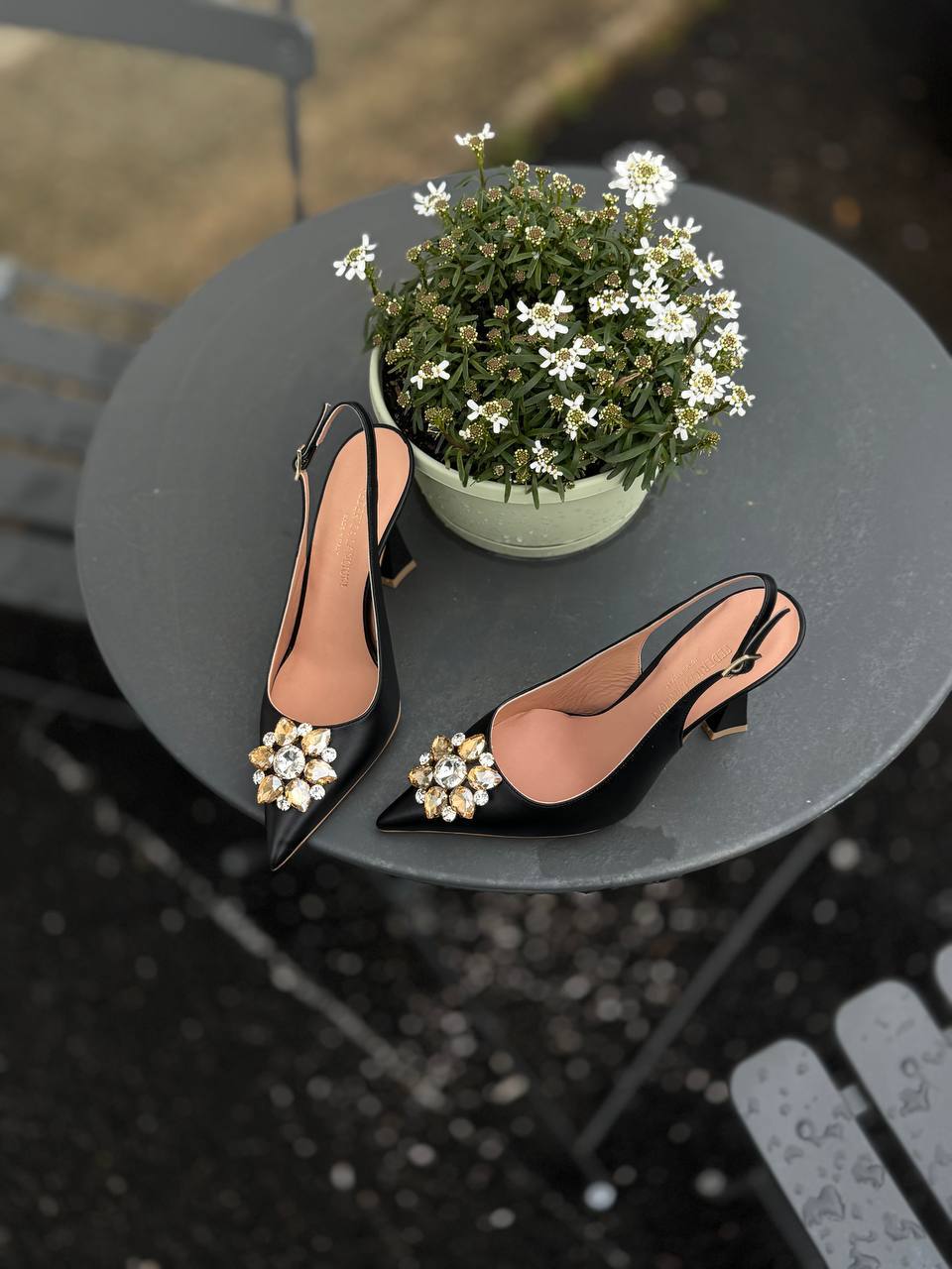 Фото Federica Lancioni