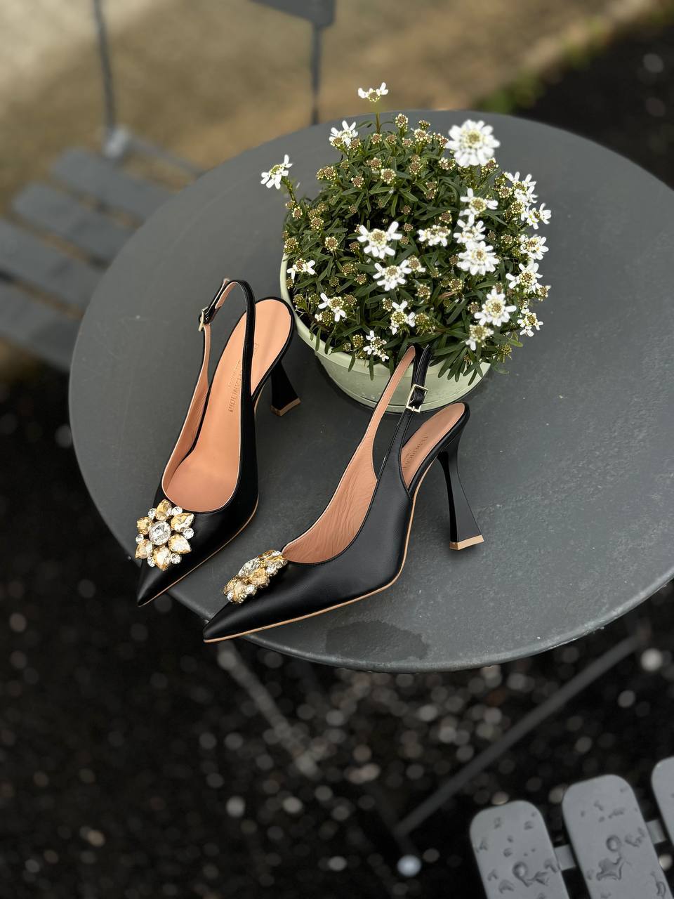 Фото Federica Lancioni