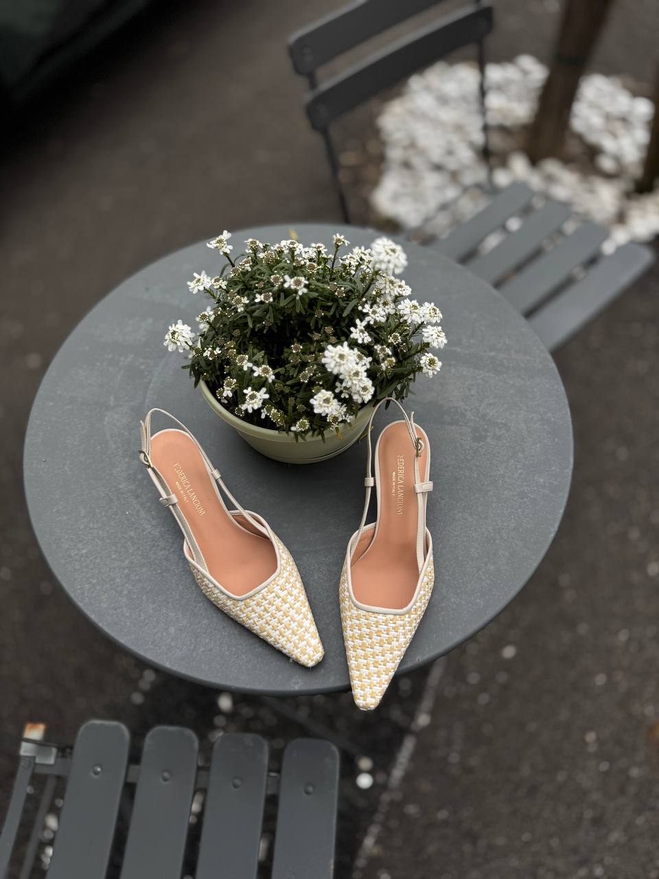 Фото Federica Lancioni