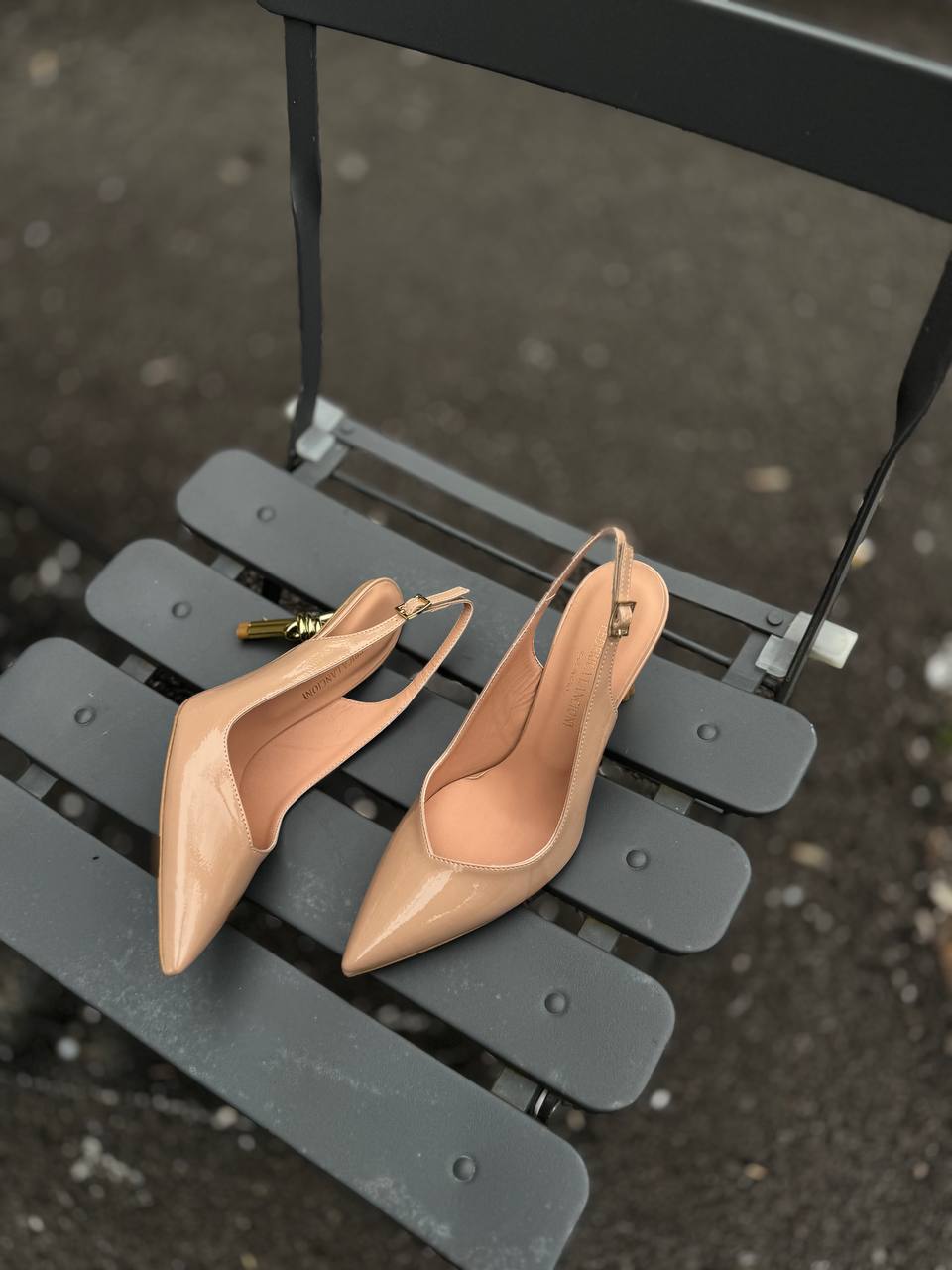 Фото Federica Lancioni