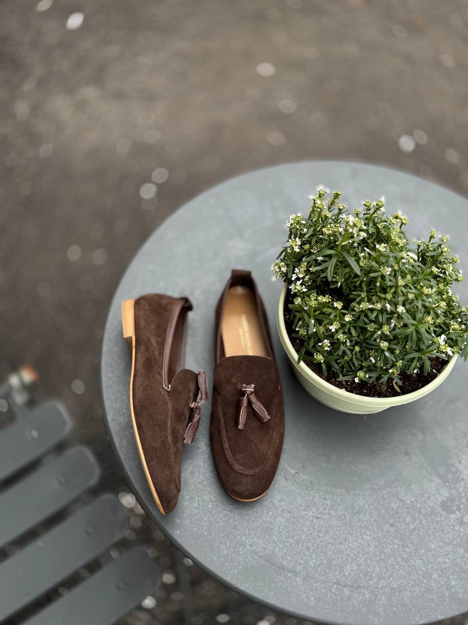 Фото Federica Lancioni