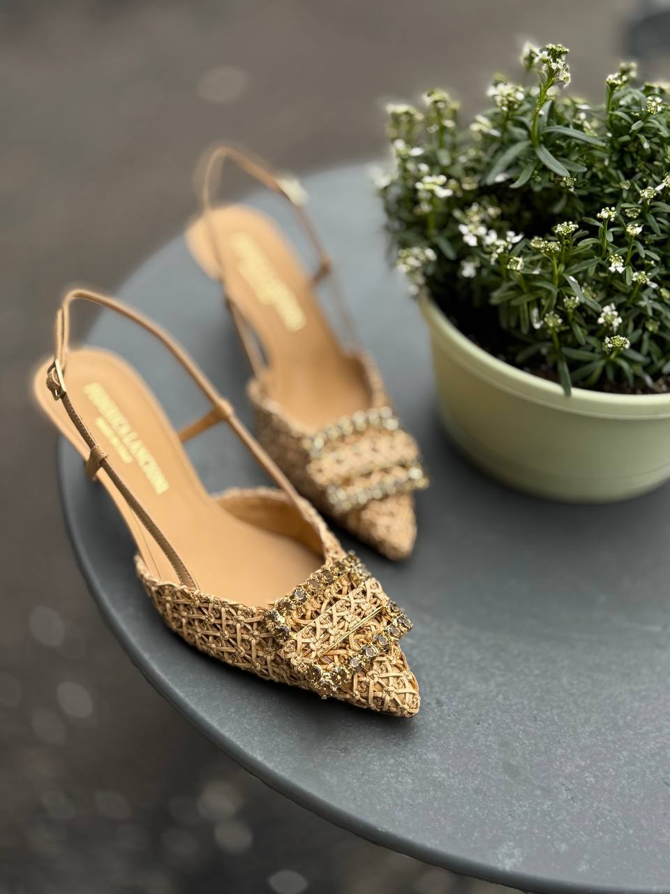 Фото Federica Lancioni