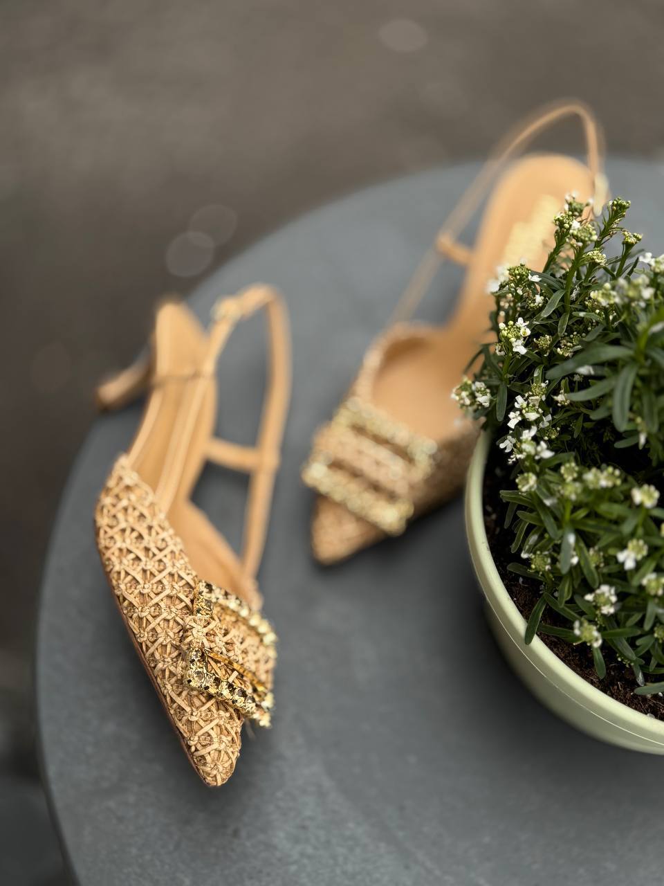 Фото Federica Lancioni