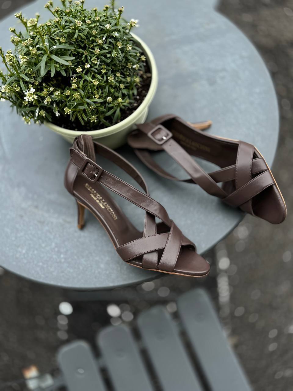 Фото Federica Lancioni