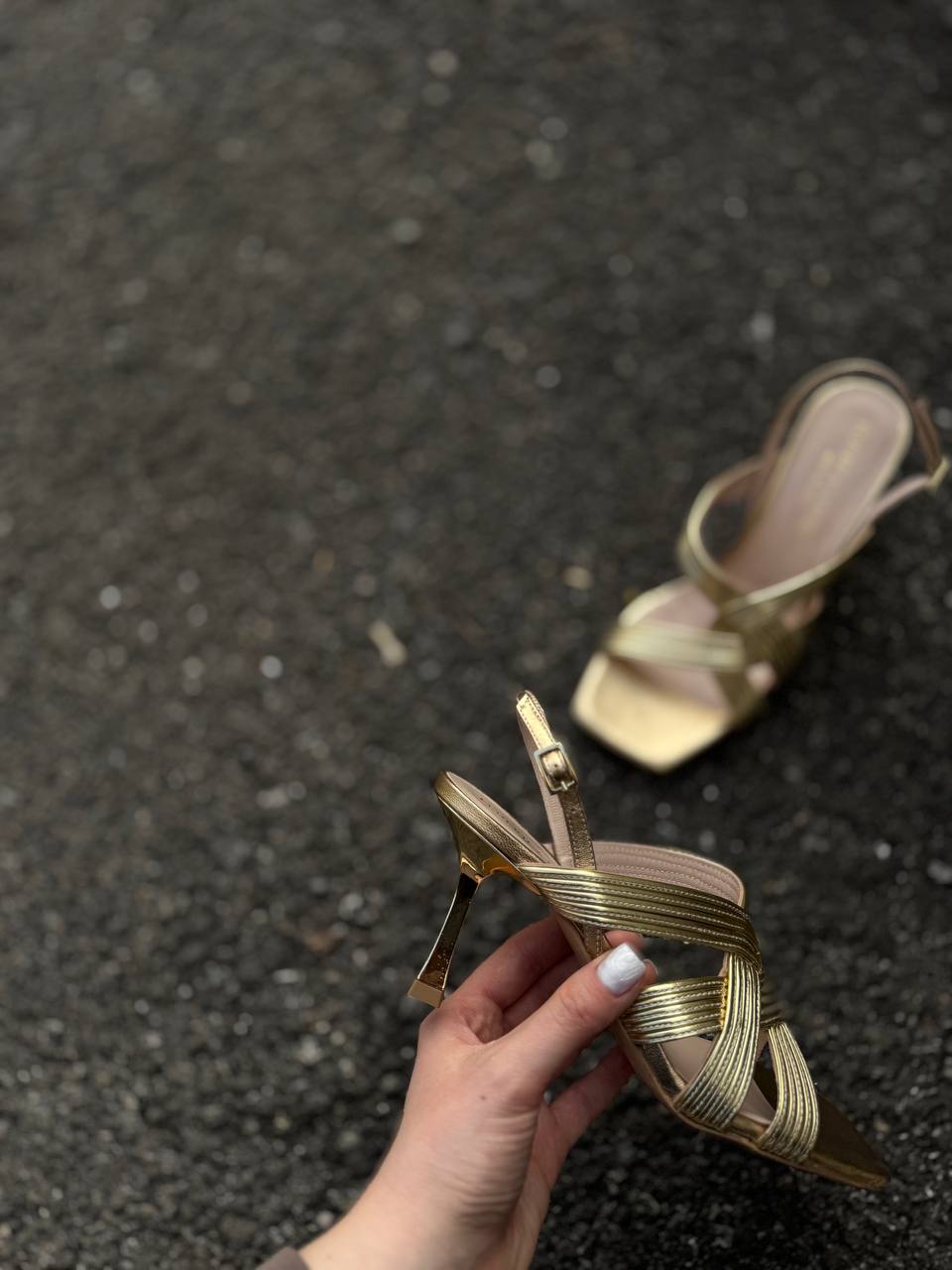 Фото Federica Lancioni