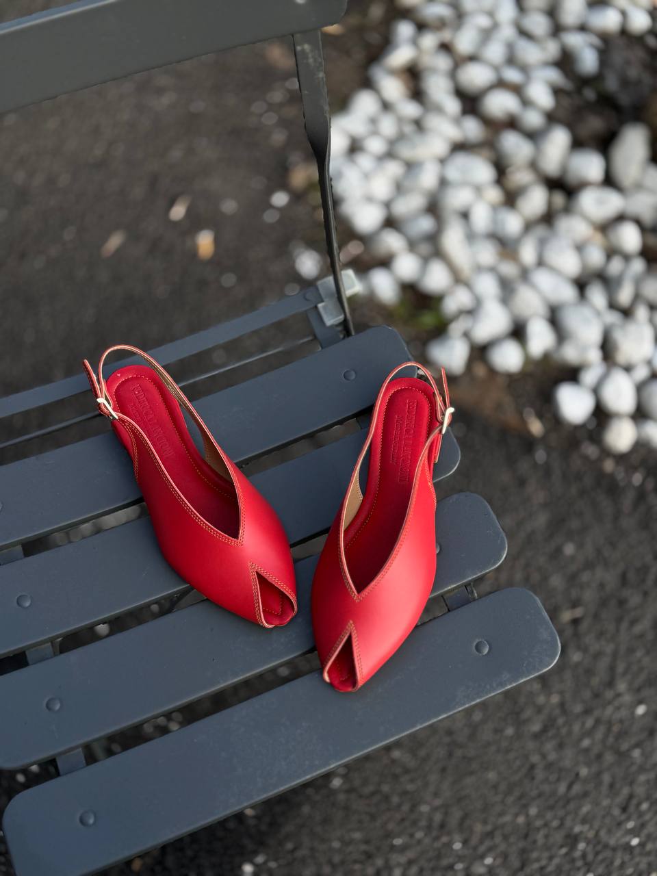 Фото Federica Lancioni