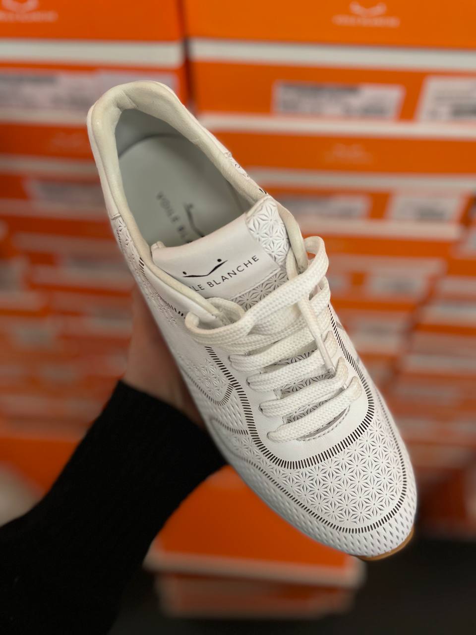 Фото Roberto Serpentini