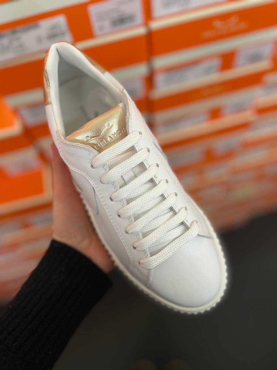 Фото Roberto Serpentini