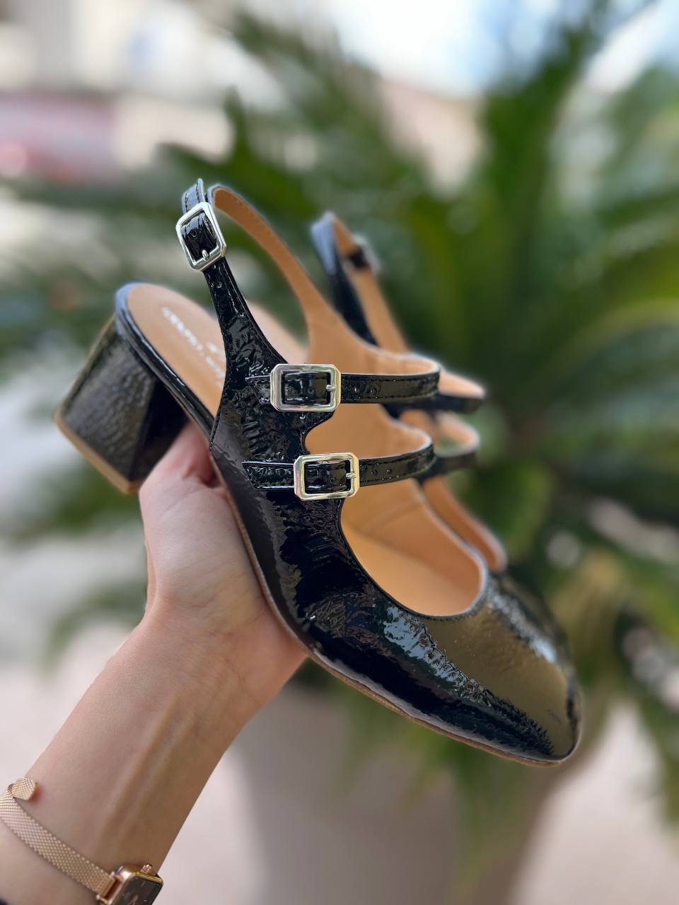 Фото Roberto Serpentini