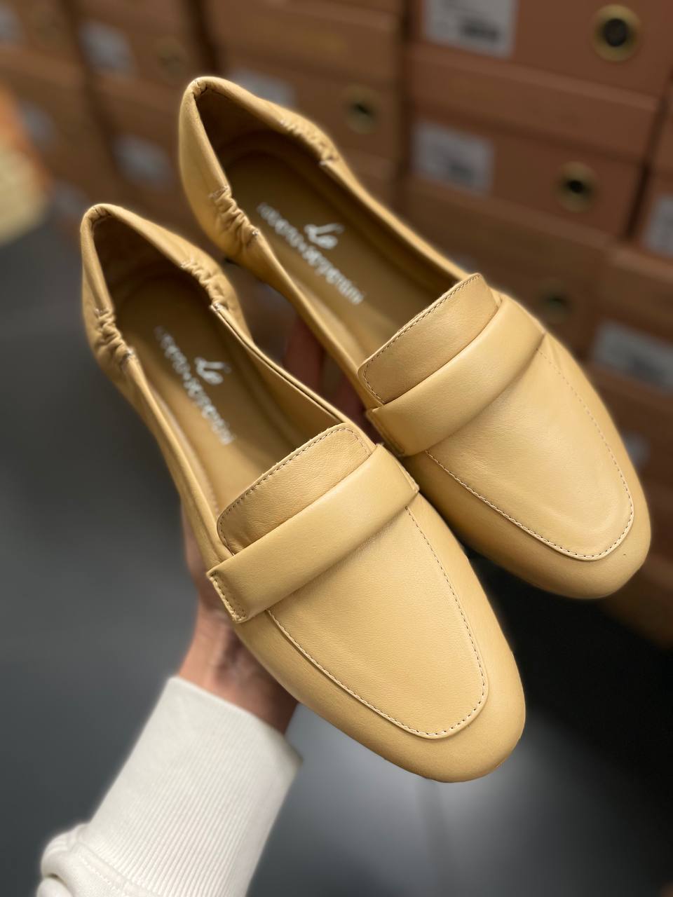 Фото Roberto Serpentini