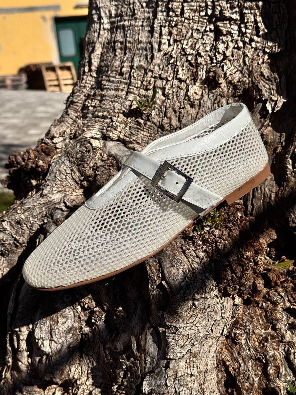 Фото Roberto Serpentini