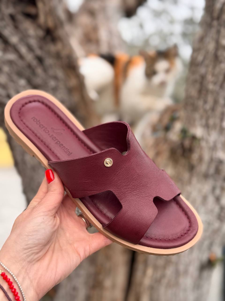 Фото Roberto Serpentini