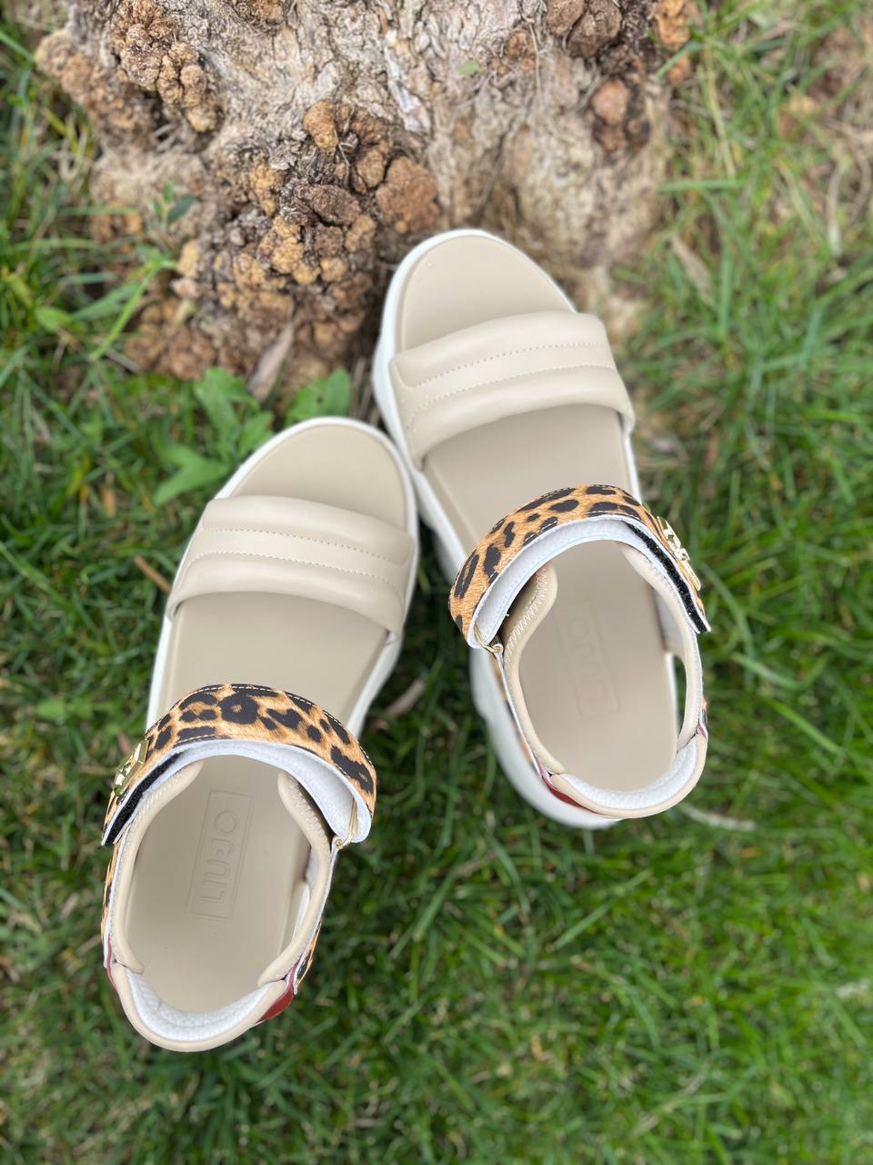 Фото Roberto Serpentini