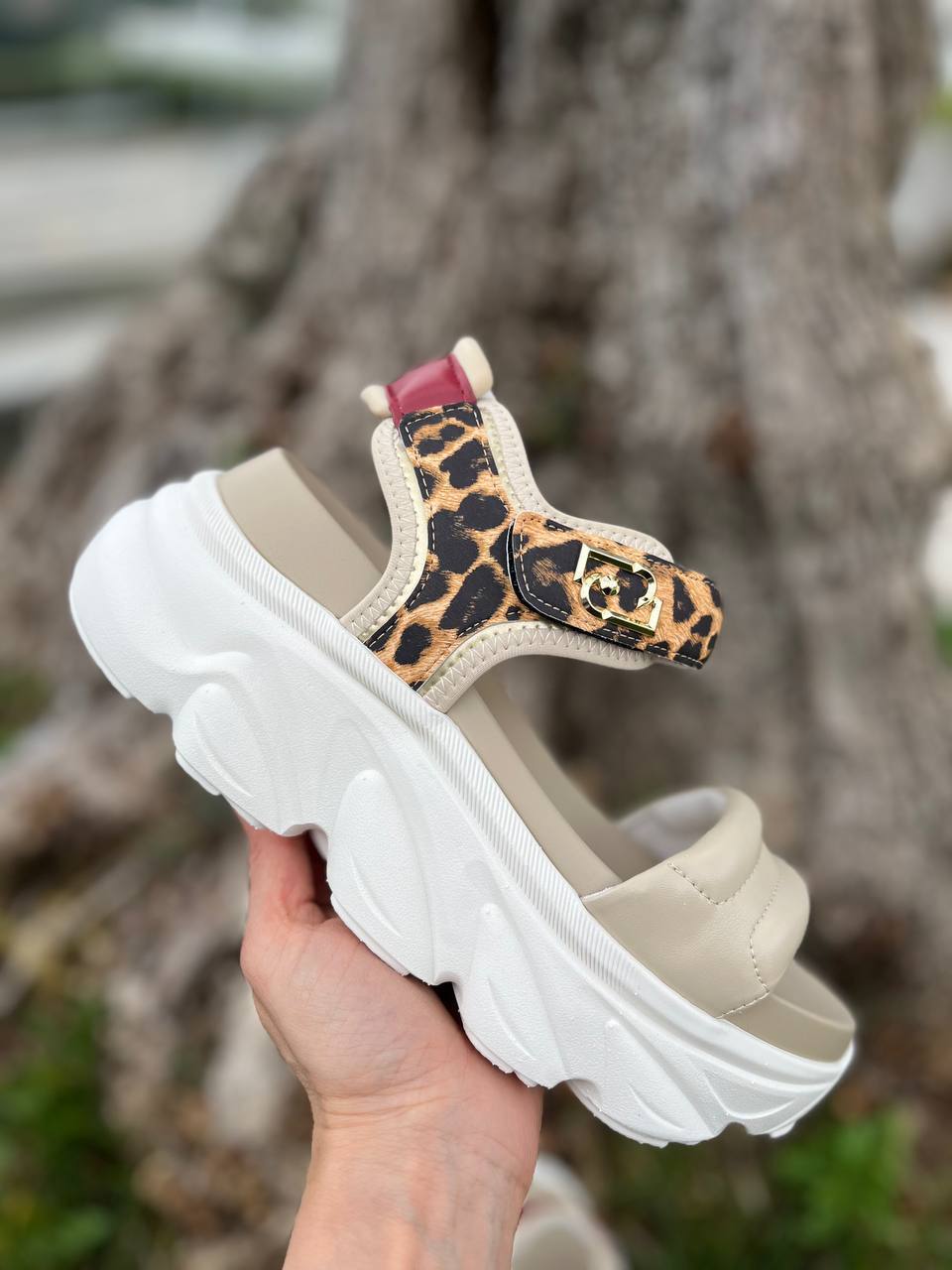 Фото Roberto Serpentini