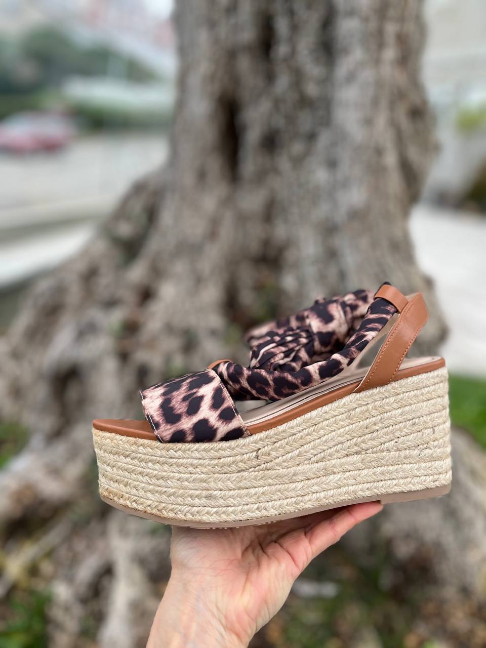 Фото Roberto Serpentini