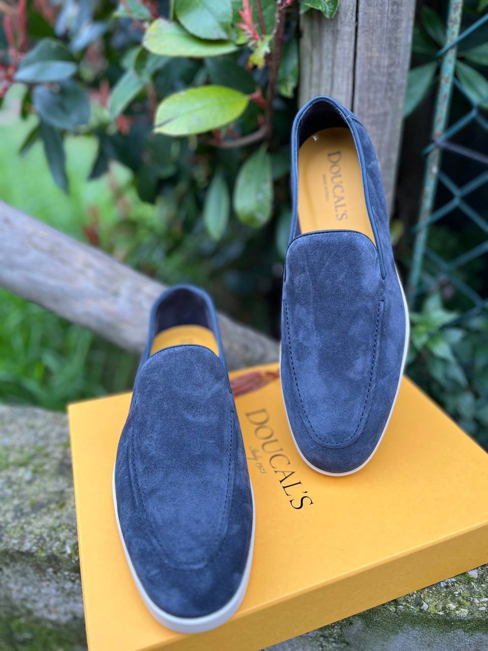 Фото Roberto Serpentini