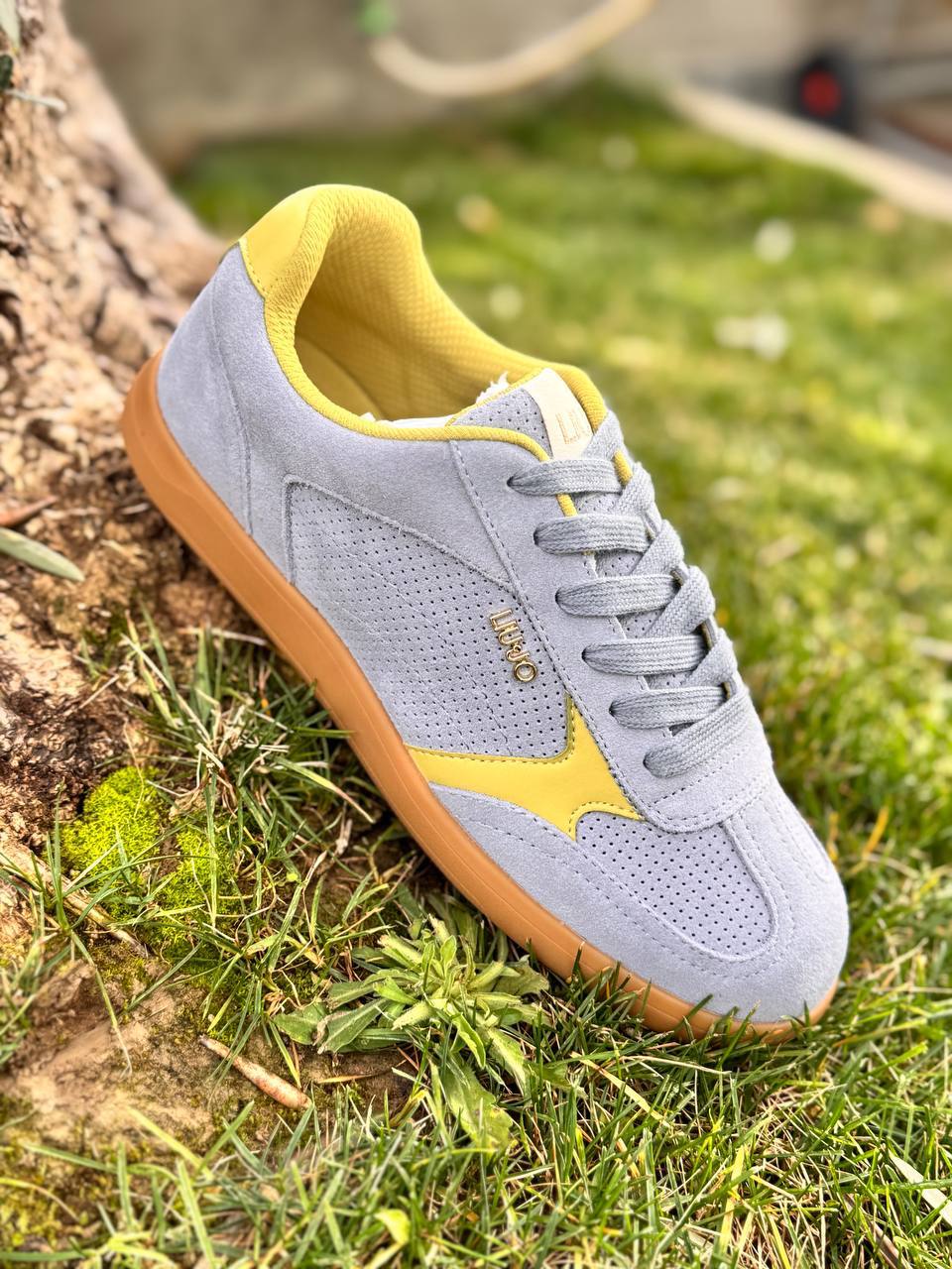 Фото Roberto Serpentini