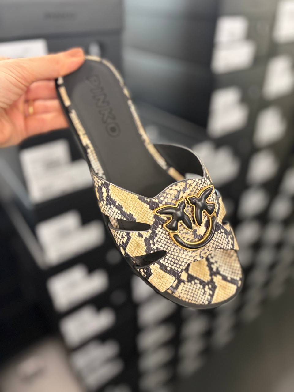 Фото Roberto Serpentini