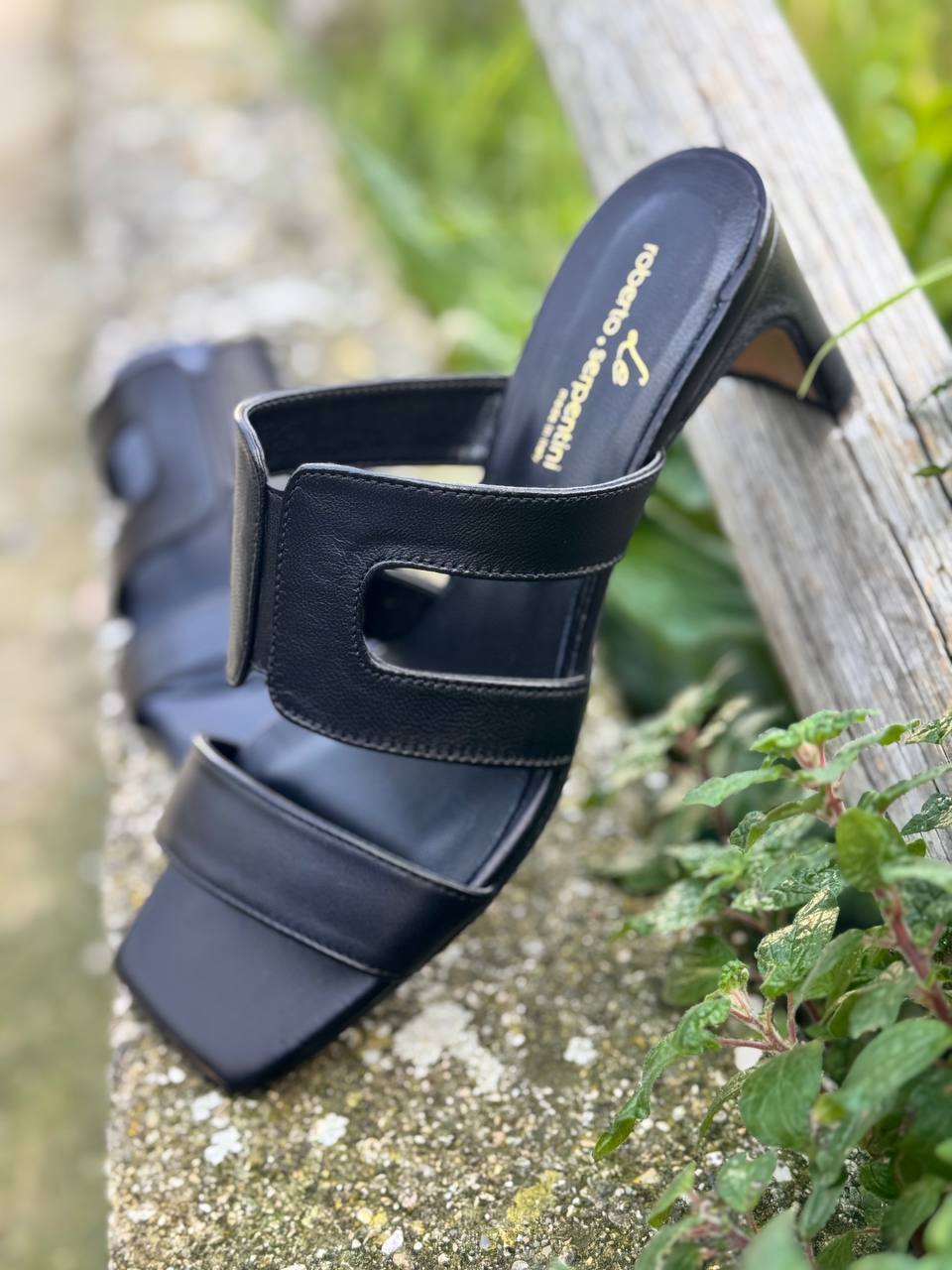 Фото Roberto Serpentini