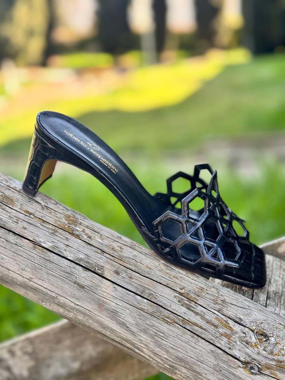 Фото Roberto Serpentini