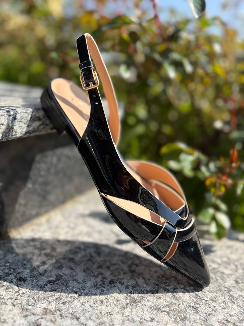 Фото Roberto Serpentini