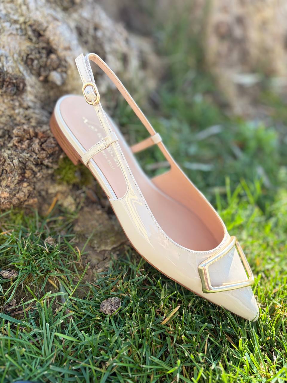 Фото Roberto Serpentini