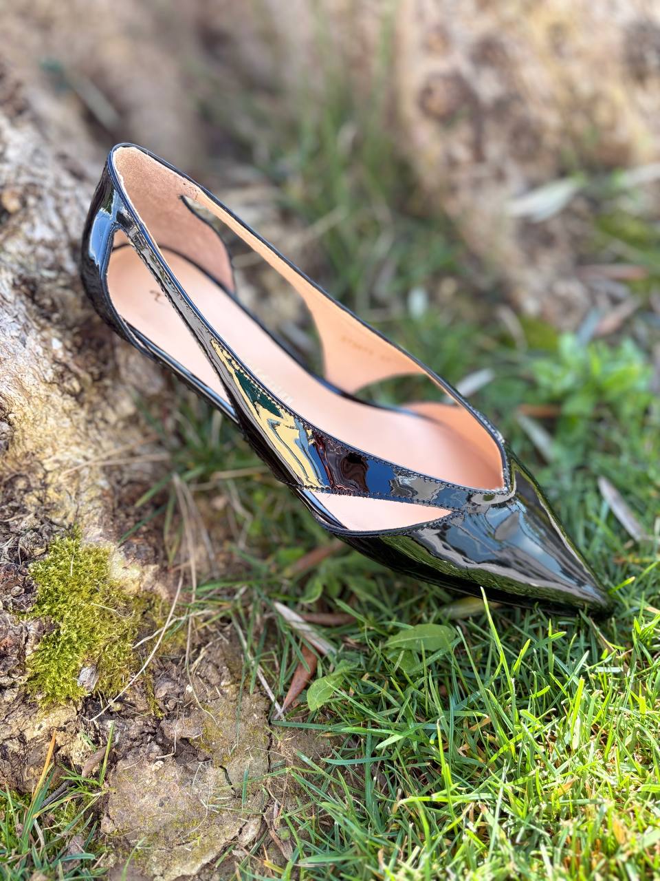 Фото Roberto Serpentini