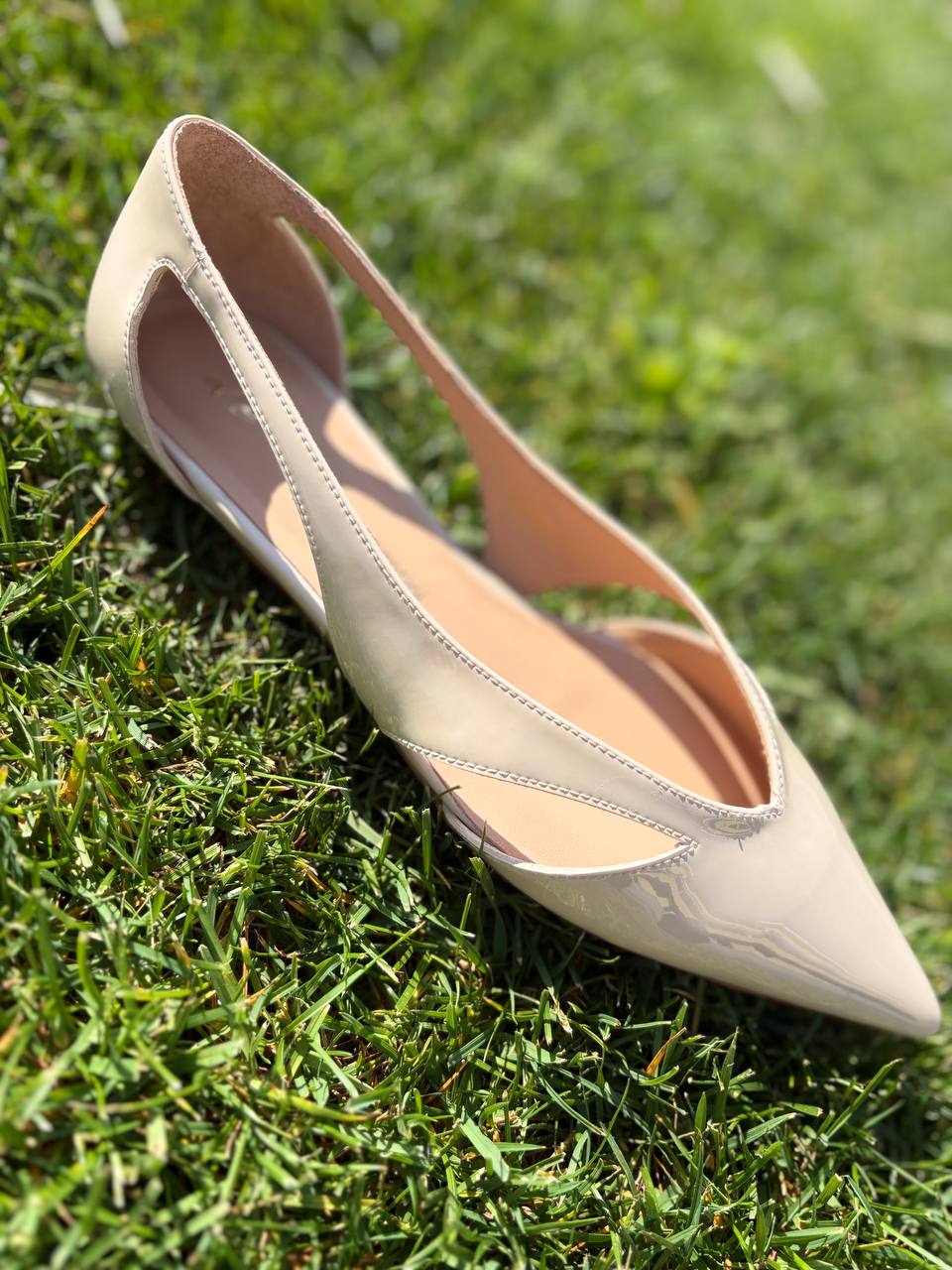 Фото Roberto Serpentini