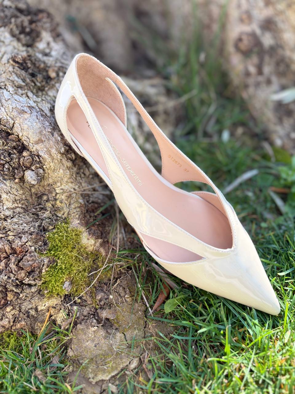 Фото Roberto Serpentini