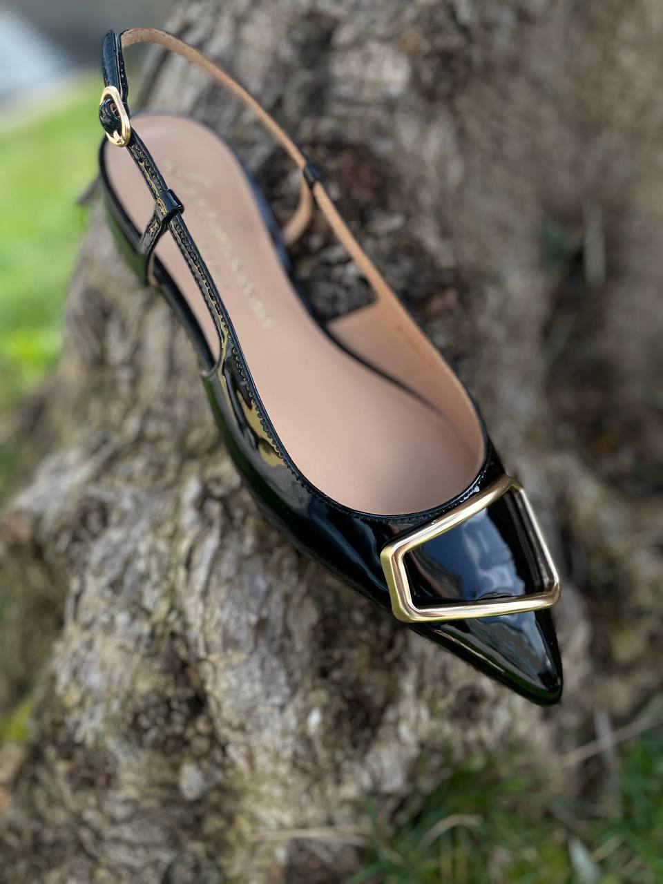 Фото Roberto Serpentini