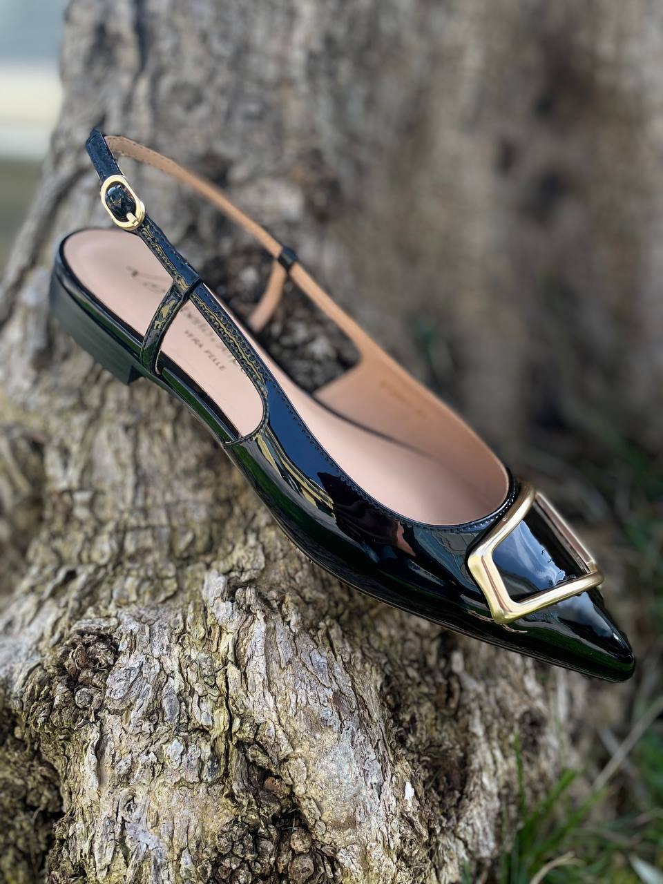 Фото Roberto Serpentini