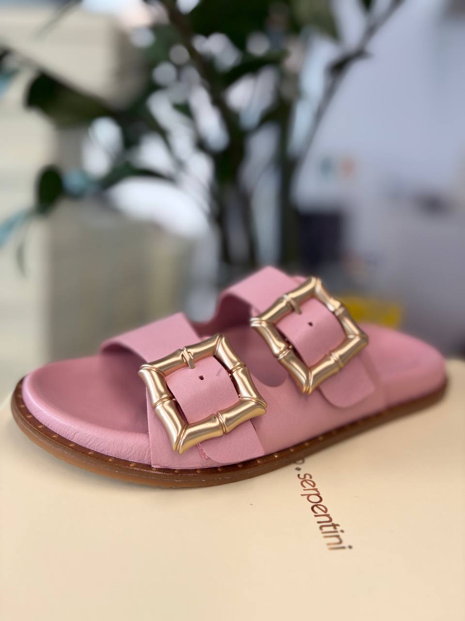 Фото Roberto Serpentini