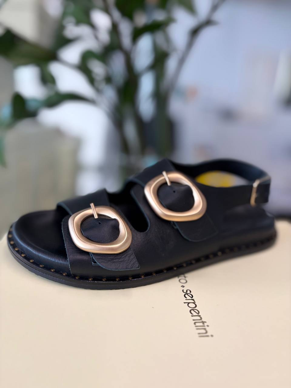 Фото Roberto Serpentini