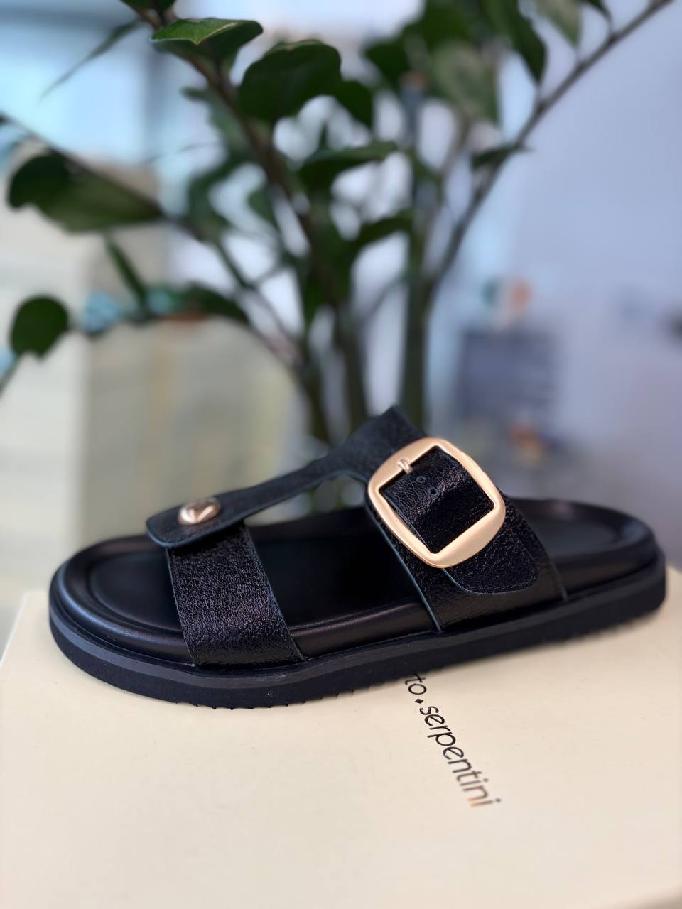 Фото Roberto Serpentini