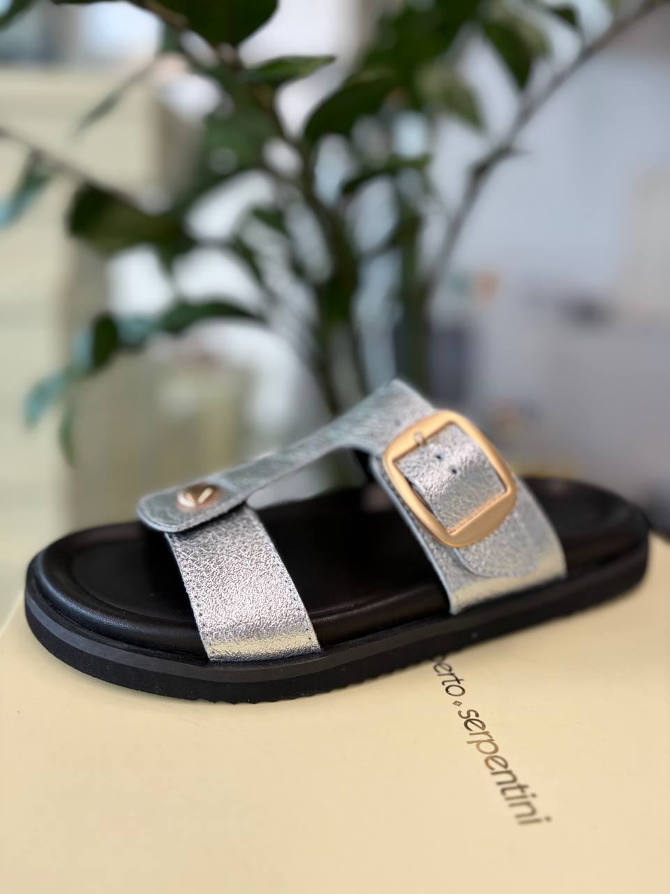 Фото Roberto Serpentini