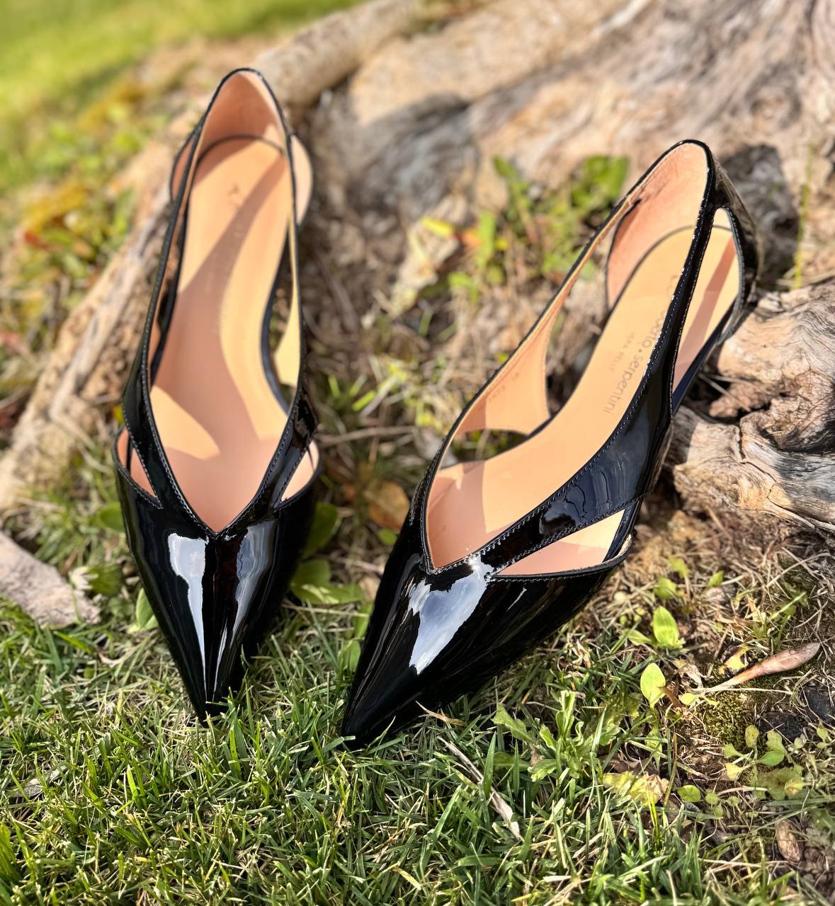 Фото Roberto Serpentini