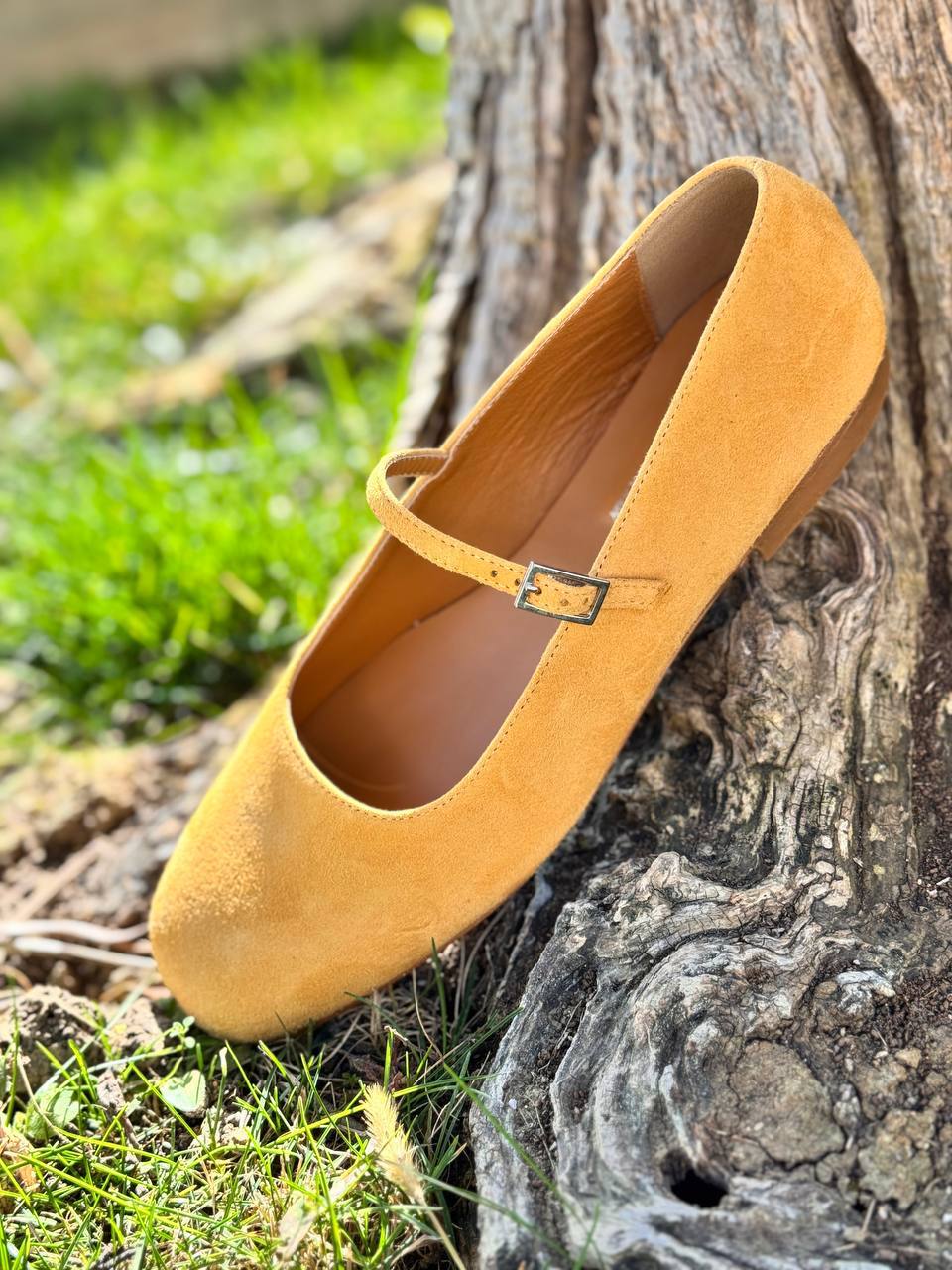 Фото Roberto Serpentini