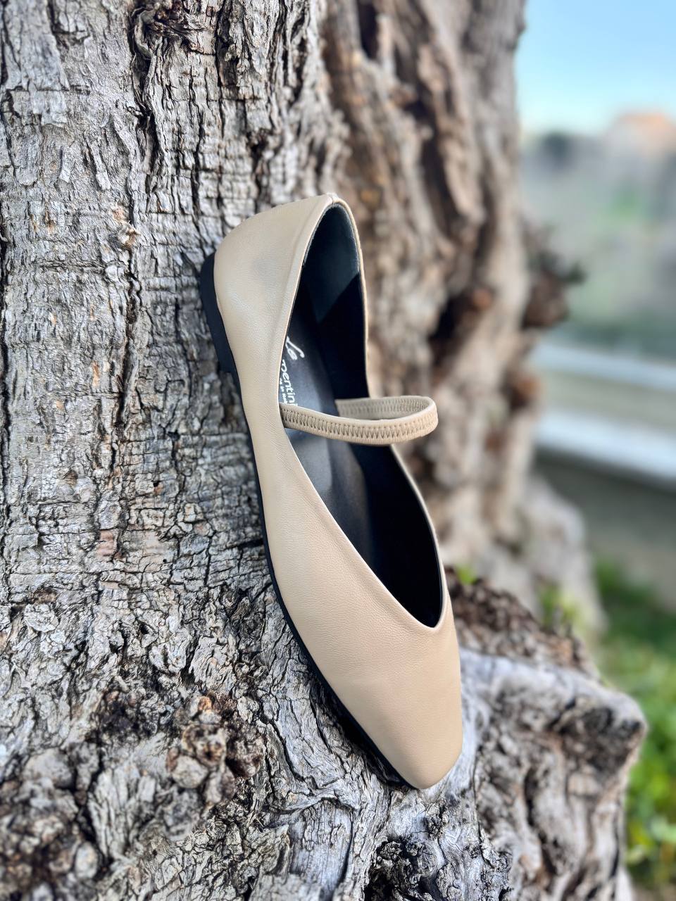 Фото Roberto Serpentini