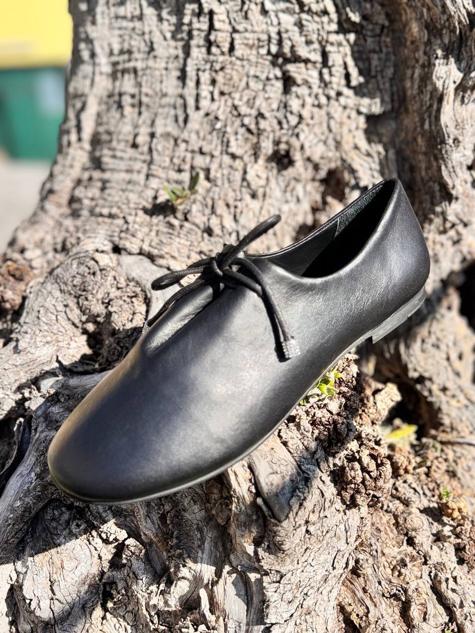 Фото Roberto Serpentini