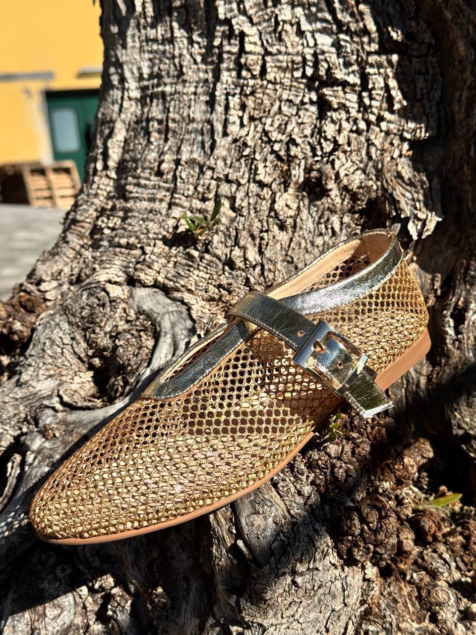 Фото Roberto Serpentini