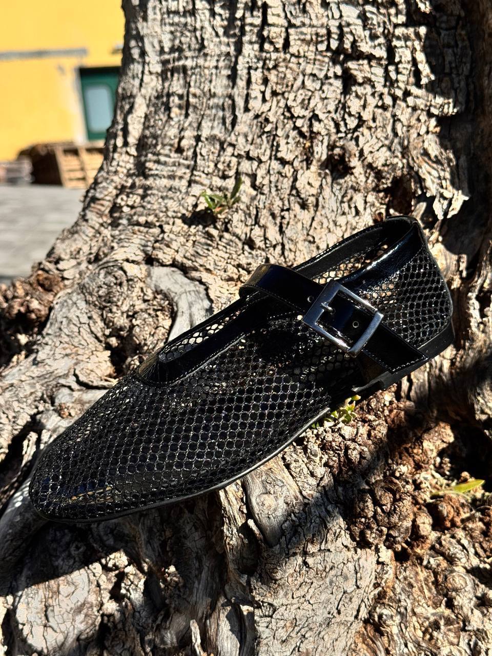 Фото Roberto Serpentini