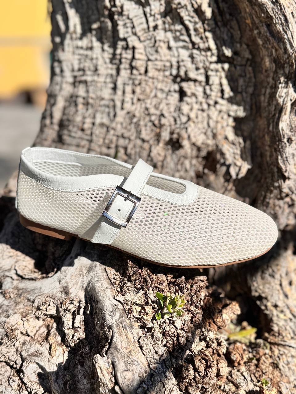 Фото Roberto Serpentini