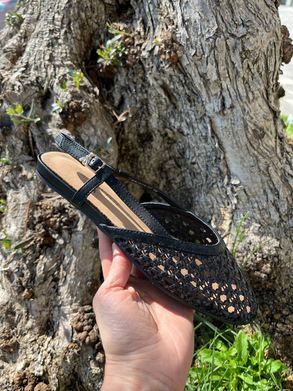 Фото Roberto Serpentini