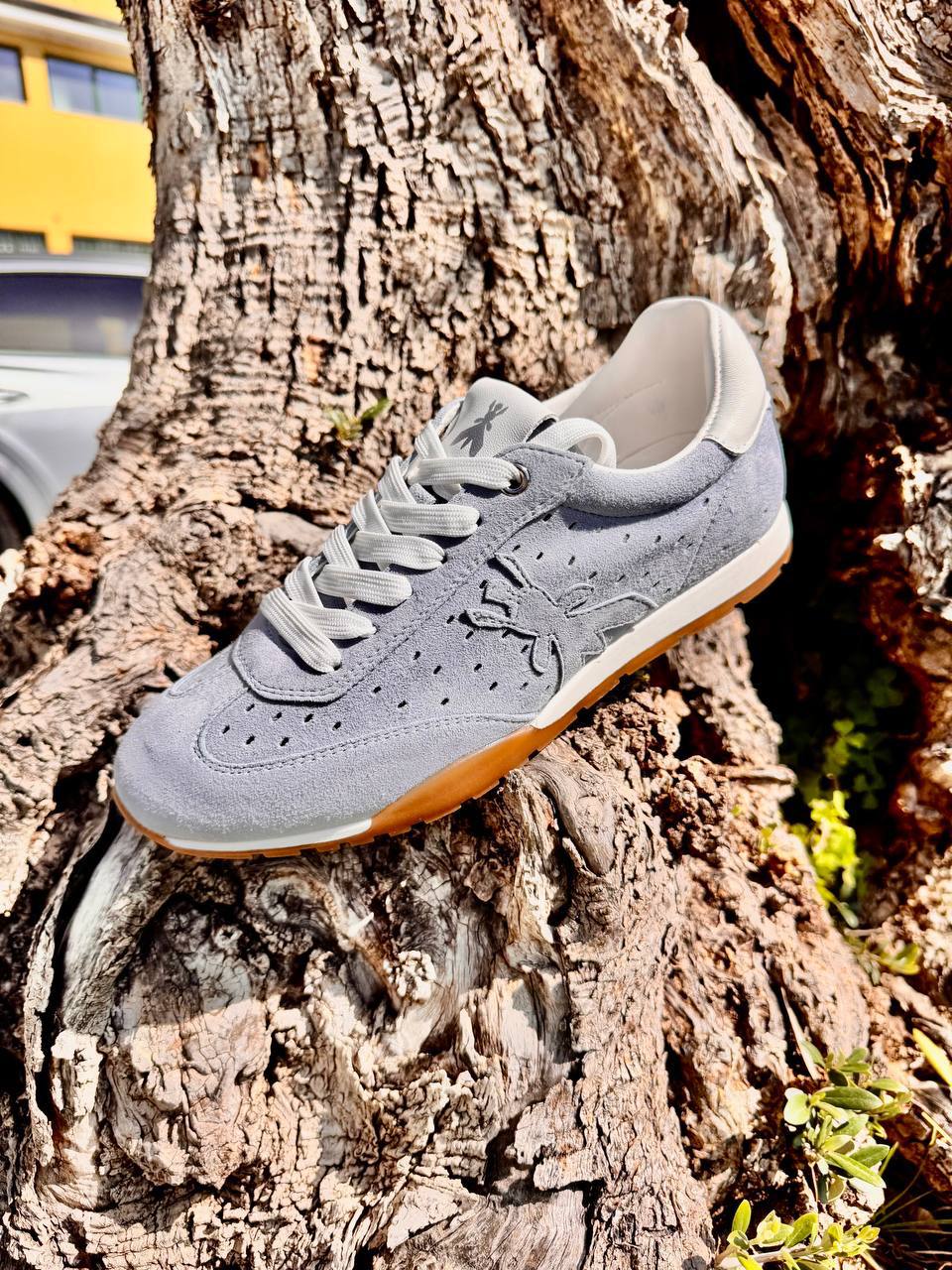 Фото Roberto Serpentini