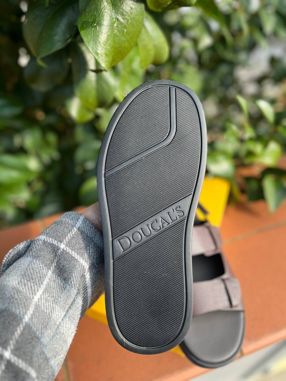 Фото Roberto Serpentini