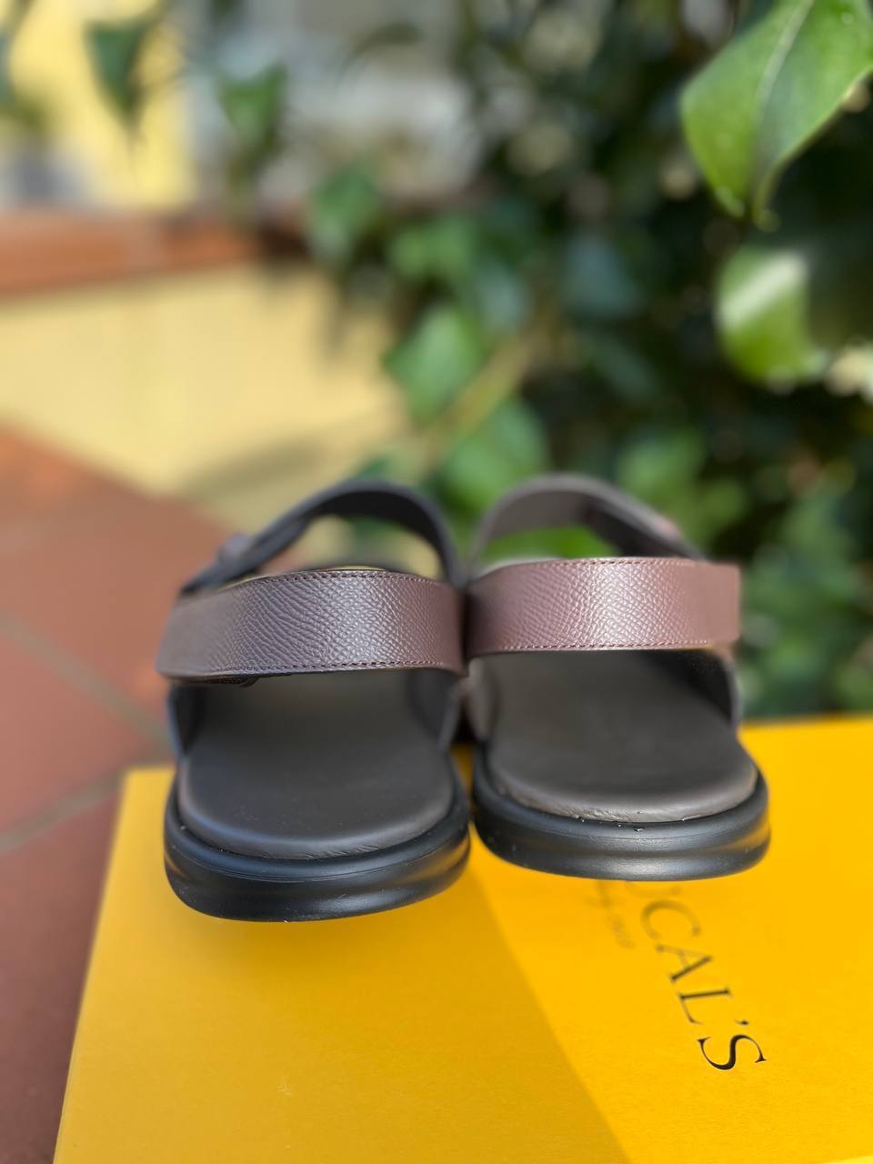 Фото Roberto Serpentini