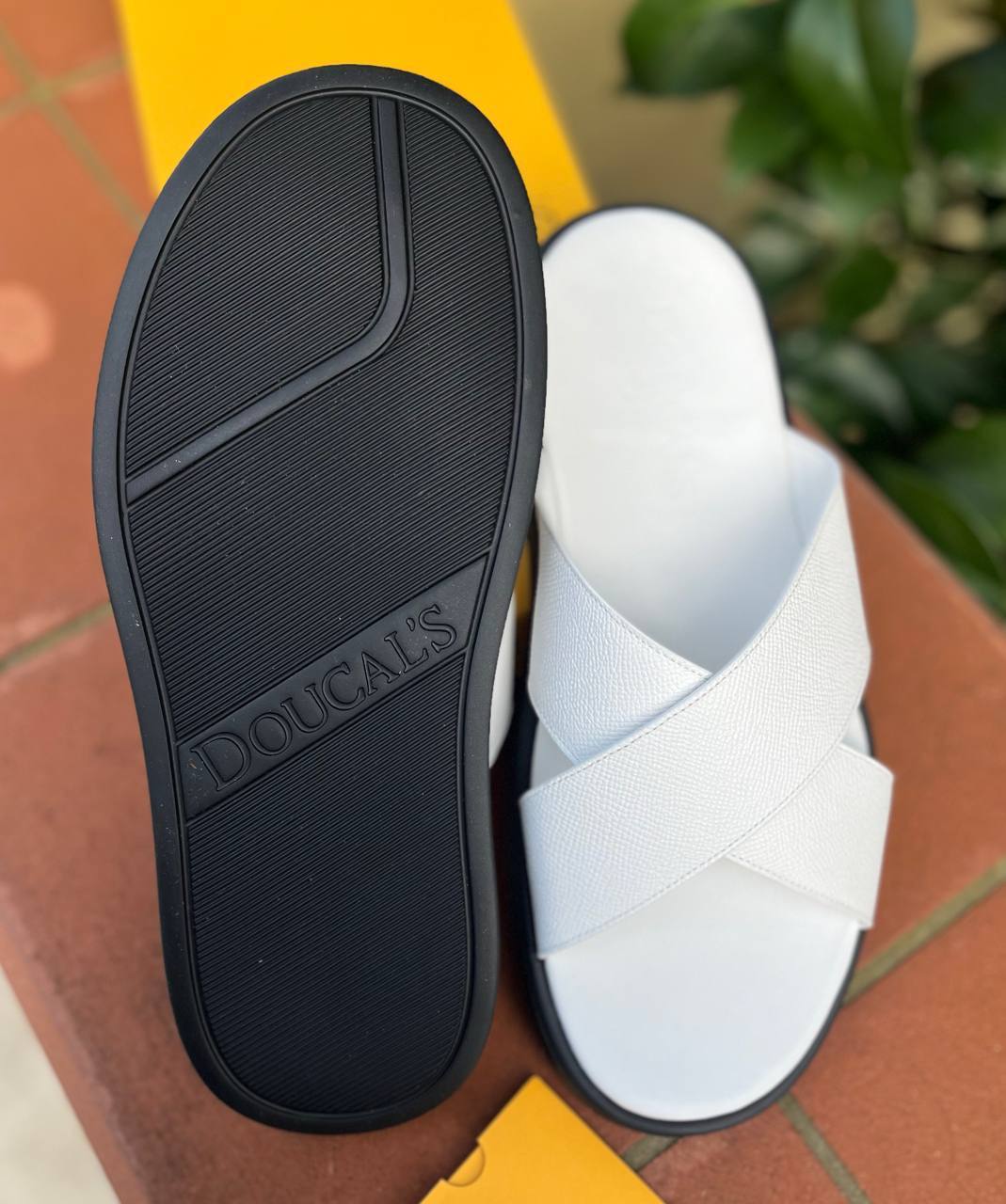 Фото Roberto Serpentini