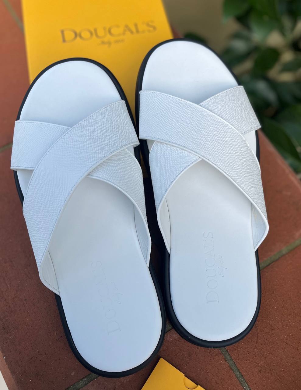 Фото Roberto Serpentini