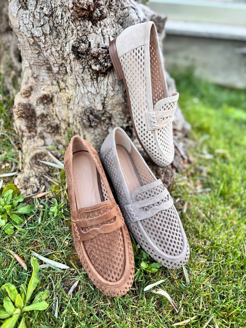 Фото Roberto Serpentini