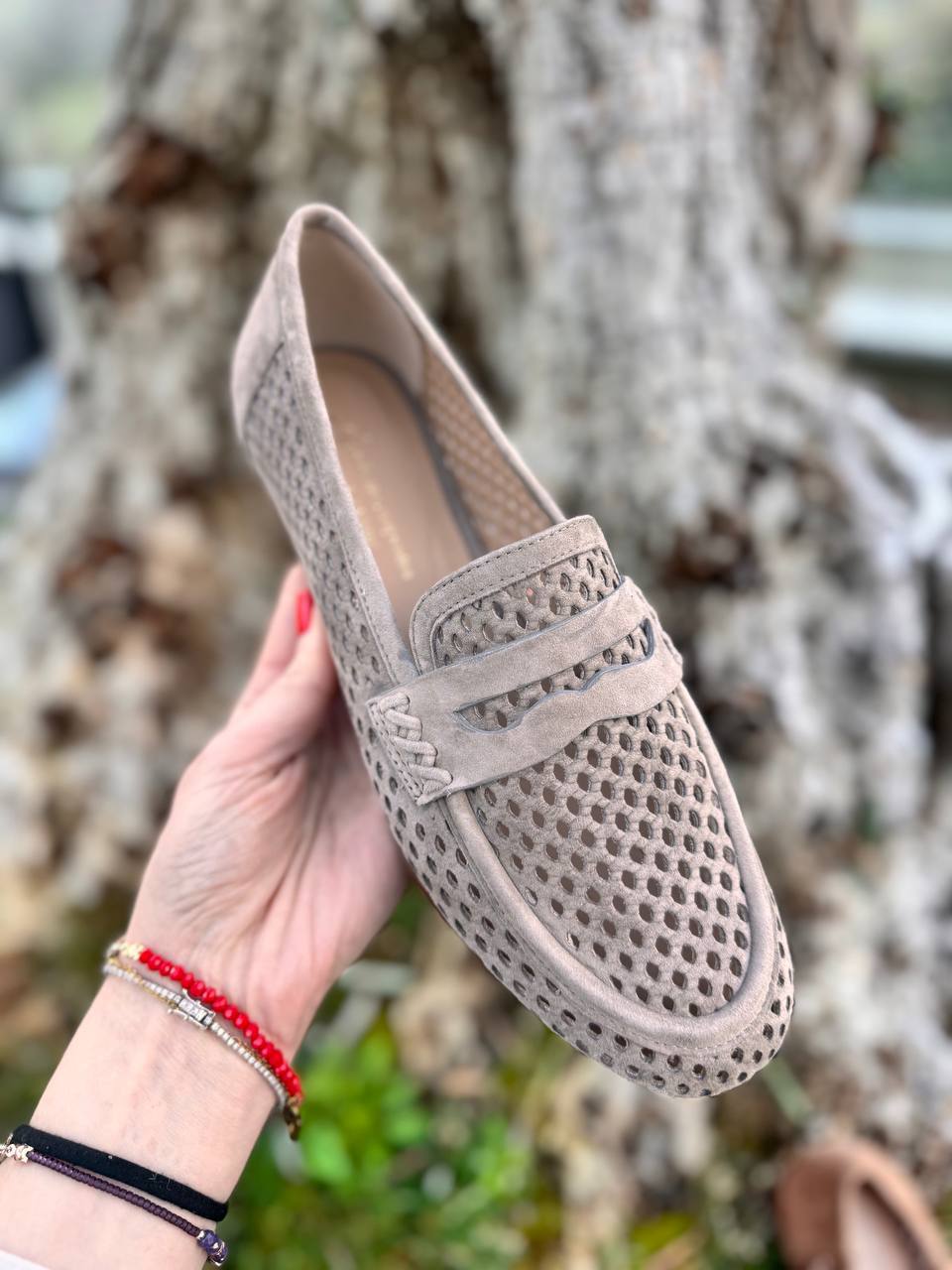 Фото Roberto Serpentini